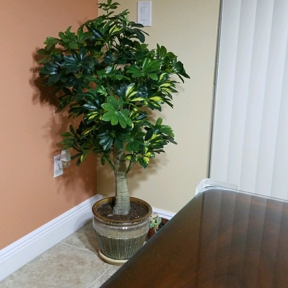 Meet your Posher, Merly - Picture 1 of 1